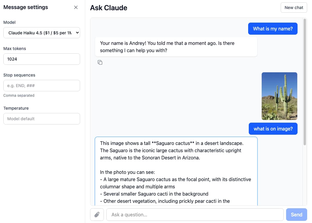 Play with Claude Chatbot: the message settings sidebar next to a conversation with Claude, including an image question, and the message input